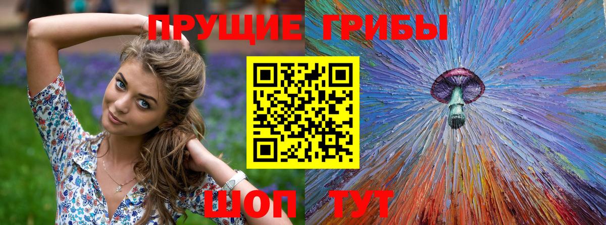 Галлюциногенные грибы MAGIC MUSHROOMS  Псилоцибиновые грибы Cubensis  купить наркотики цена  Екатеринбург  Вход с VPN 