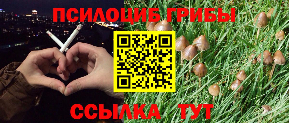 Галлюциногенные грибы Psilocybine cubensis Екатеринбург